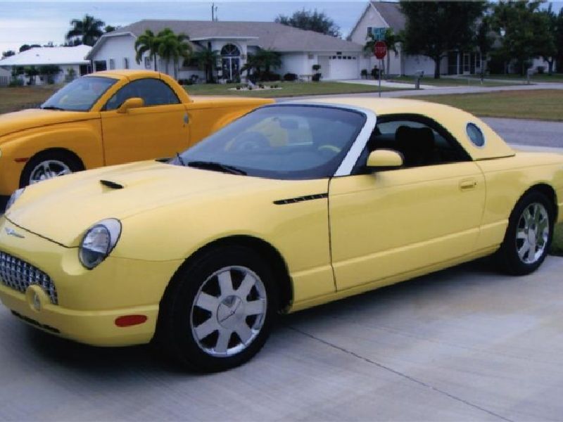 Ford Thunderbird (Retro Birds)