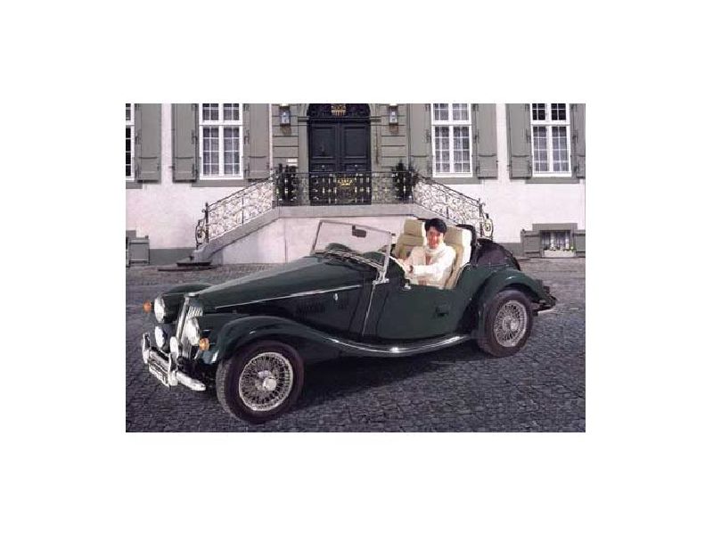 Minelli TF 1800