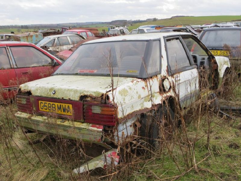 Rover Montego Estate (XE)