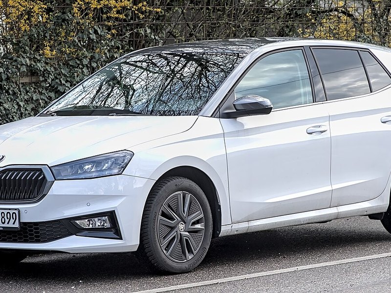 Skoda Fabia II Combi Scout