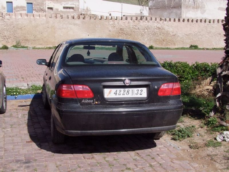 Tofas Albea