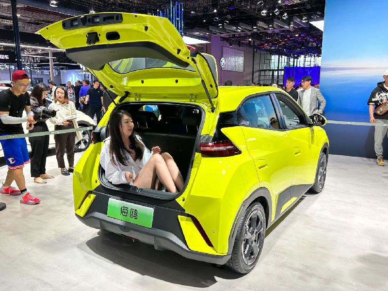 BYD Seagull