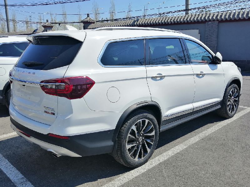 Bisu T3