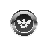 Bee Bee
