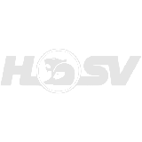 HSV